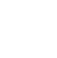 icon bulb
